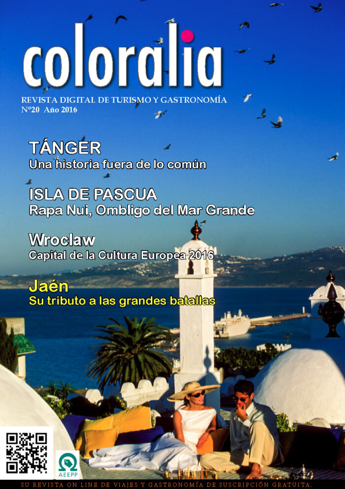 Portada Revista Traveling Nº20