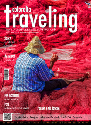 Portada Revista Traveling Nº35