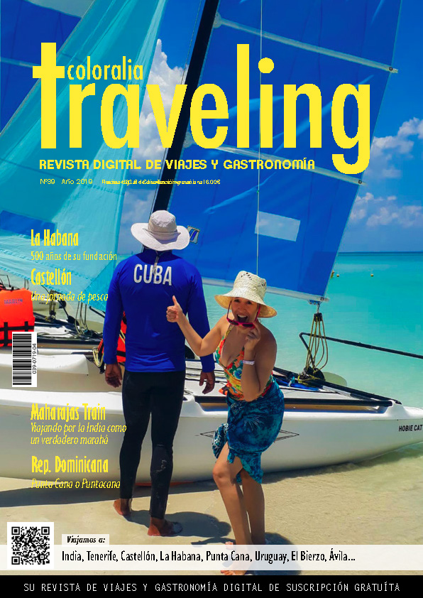 Portada Revista Traveling Nº49