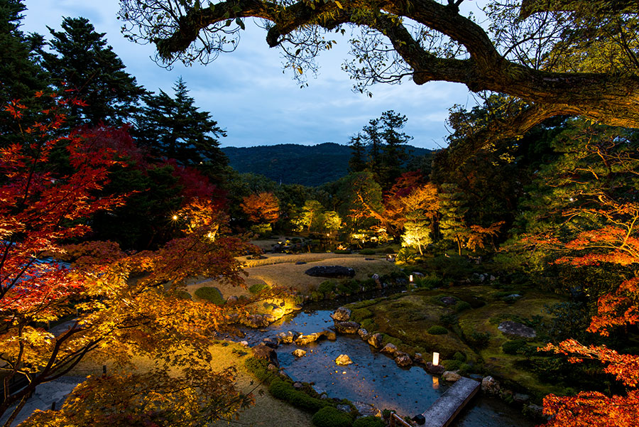 Jardines de Kioto