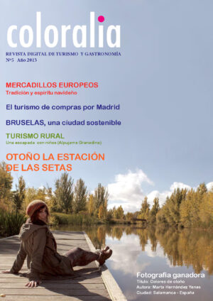 Portada Revista Traveling 5