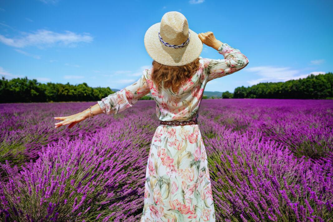 Campos en flor, campo de lavanda