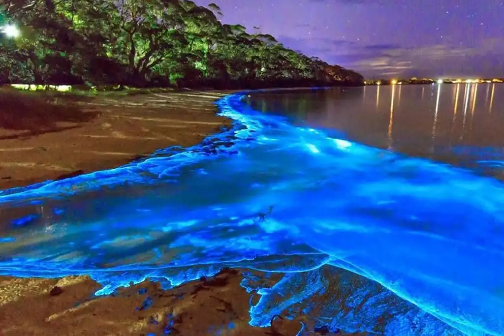 Laguna Luminosa de Negril