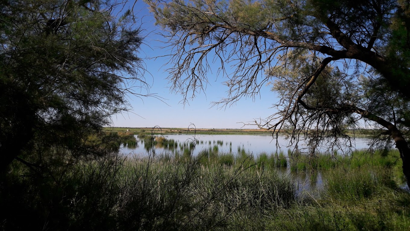 Laguna del Pueblo