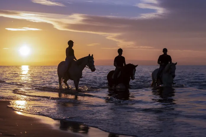 Paseos a caballo en Marmari en kos