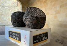 V Concurso cocinando con trufa, Soria