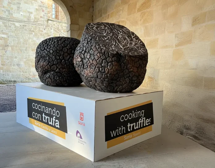 V Concurso cocinando con trufa, Soria