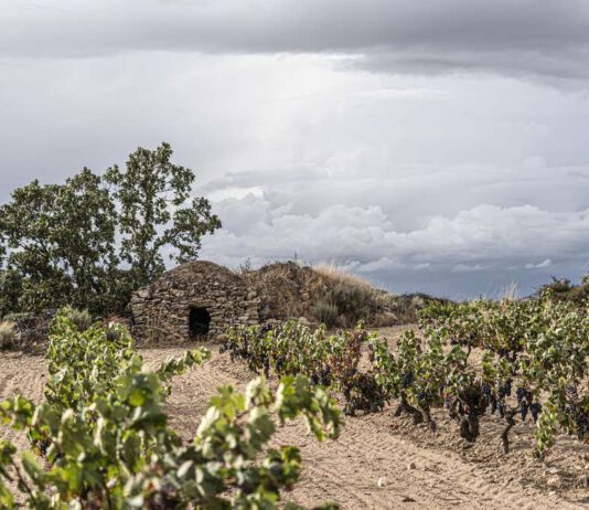 Viñedos de de Arribes