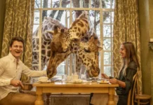 Descubrimos 5 de los hoteles más sorprendentes del mundo Giraffe Manor Kenia