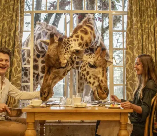 Descubrimos 5 de los hoteles más sorprendentes del mundo Giraffe Manor Kenia