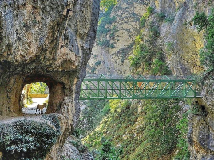 Ruta del Cares ©Aznar Corral