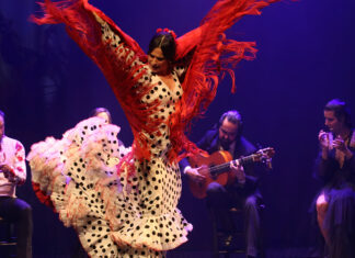 La magia del flamenco en Madrid “Emociones”: La magia del flamenco puro en el corazón de Madrid