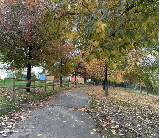 El Kiriko, un lugar para disfrutar de la naturaleza El Kiriko