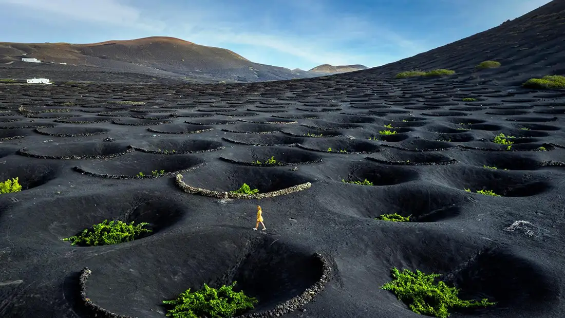 Lanzarote inolvidable: playas infinitas, aventura en el paraíso atlántico 3 Bodegas La Geria