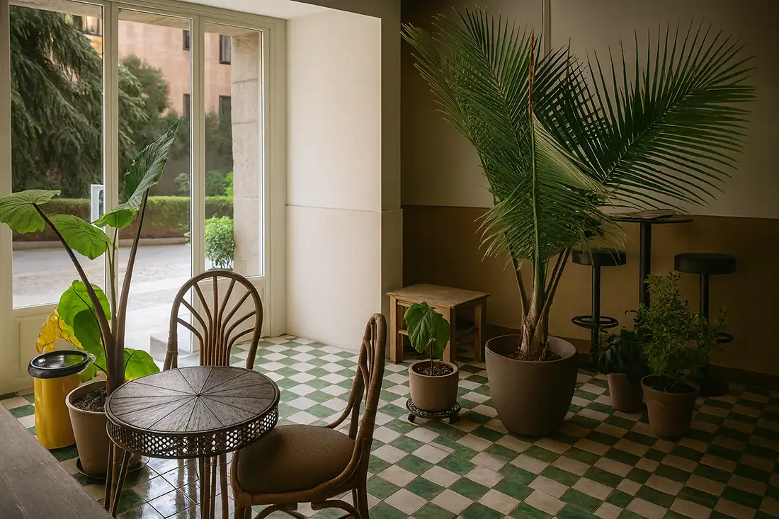 Bahiana Club, oasis mediterráneo en La Latina 1 Bahiana Club sala