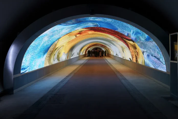 DAG - Fabrice Gallina, Gorizia