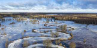La quinta estación de Estonia: cuando los bosques se cubren de agua fifth season