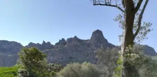 El jardín que susurra al Mediterráneo: 40 años de legado botánico en la Tramuntana Finca Ariant