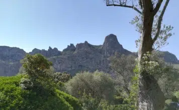 El jardín que susurra al Mediterráneo: 40 años de legado botánico en la Tramuntana Finca Ariant