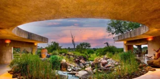 El ‘hotel paisaje’ perfecto para dar la bienvenida al otoño: Earth Lodge, un refugio de arquitectura invisible que se funde con la sabana Earth Lodge Sabi Sabi