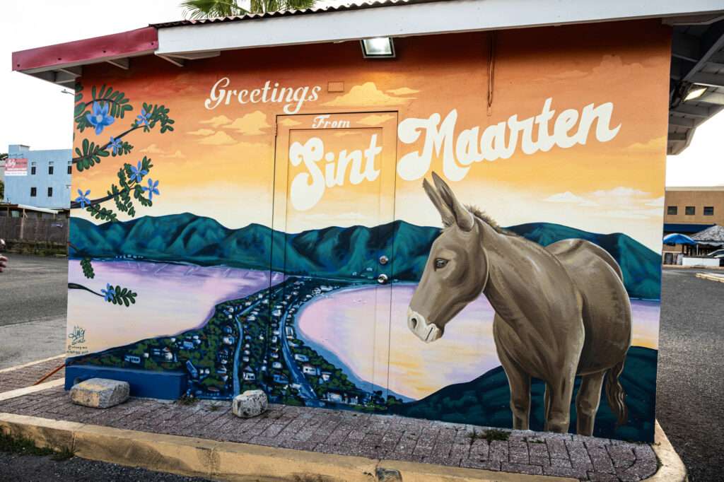 Saint-Martin: dos países, una isla y cinco formas de descubrirla 3 Mural de un burro frente a un paisaje de Sint Maarten con las palabras “Greetings from Sint Maarten”