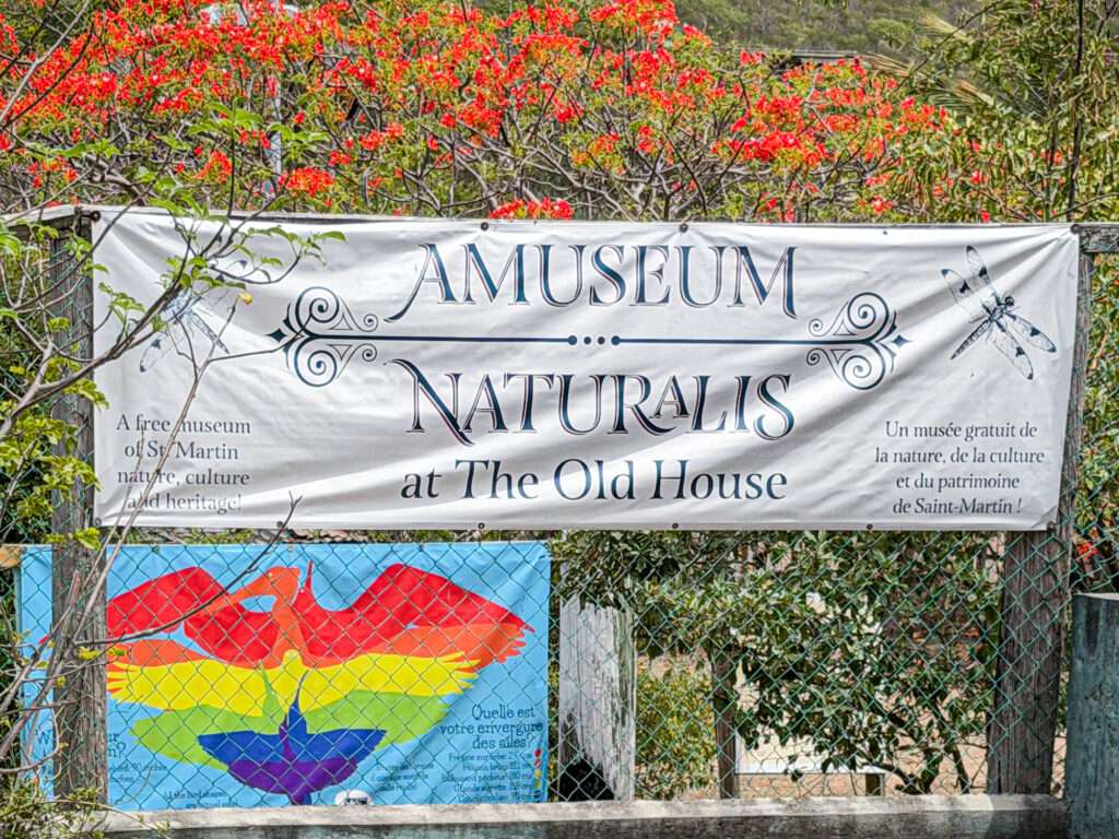Saint-Martin: dos países, una isla y cinco formas de descubrirla 4 Cartel de Amuseum Naturalis en The Old House, rodeado de vegetación en Saint-Martin