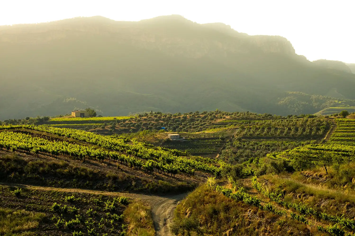 Gran Hotel Mas d’en Bruno, en el Priorat, brilla con su primera Llave Michelin 3 Priorat